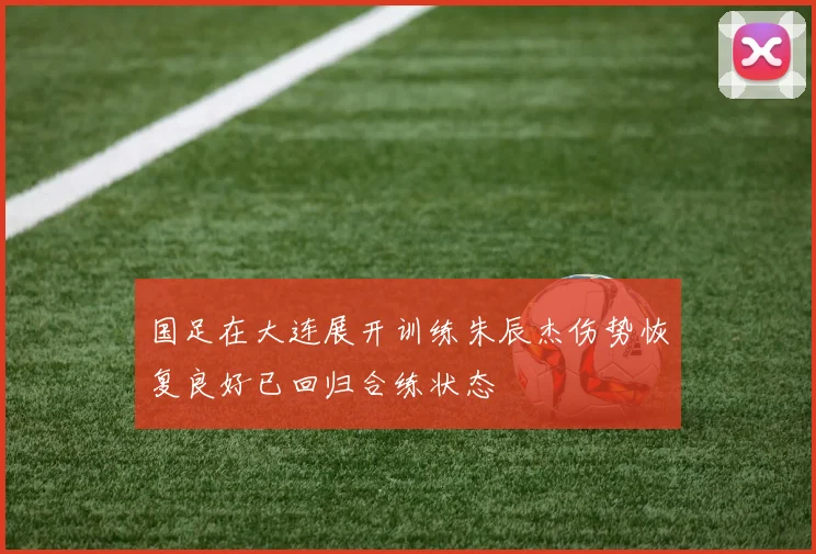 国足在大连展开训练朱辰杰伤势恢复良好已回归合练状态